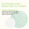 Klavuu Phytoncide Quick Cleansing Pad - Clarifying & Pore Care, 100 Pads (380ml)