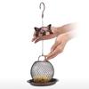 Wild Bird Feeder Vintage Cat Style with Baffle Easy Fill Spacious Standing Space
