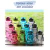 As Material Sports Water Bottle With Environmentally-friendly Features And 350ml Capacity