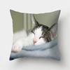 Cute Cat Print Decorative Cushions Pillowcase Polyester Cushion Cover Throw Pillow Sofa Living Room Decoration Pillowcover
