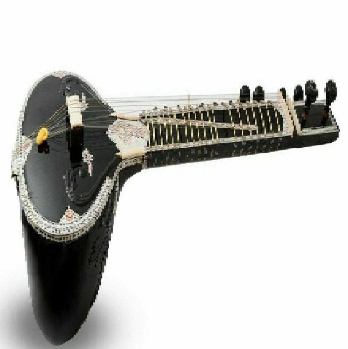 Professional Handmade Sitar with Design Bag – 7 Main & Sympathetic Strings