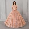 Elegant Pink Sequined Lace Ball Gown for Adult Ceremonies and Performances