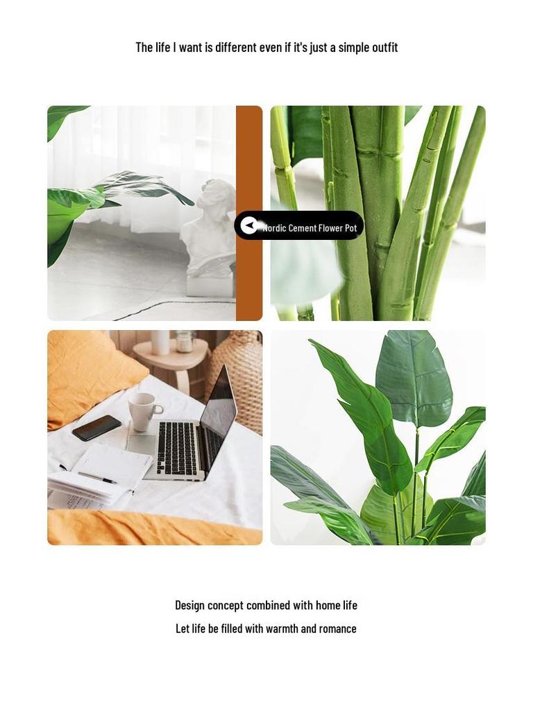 High-End Indoor Bird of Paradise Decor: Luxury Potted Traveler's Palm