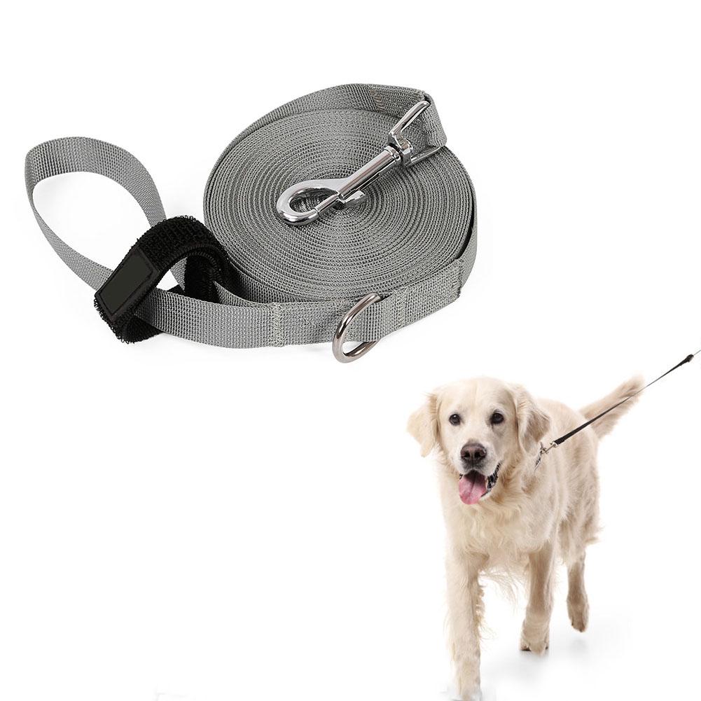 outdoor dog lead