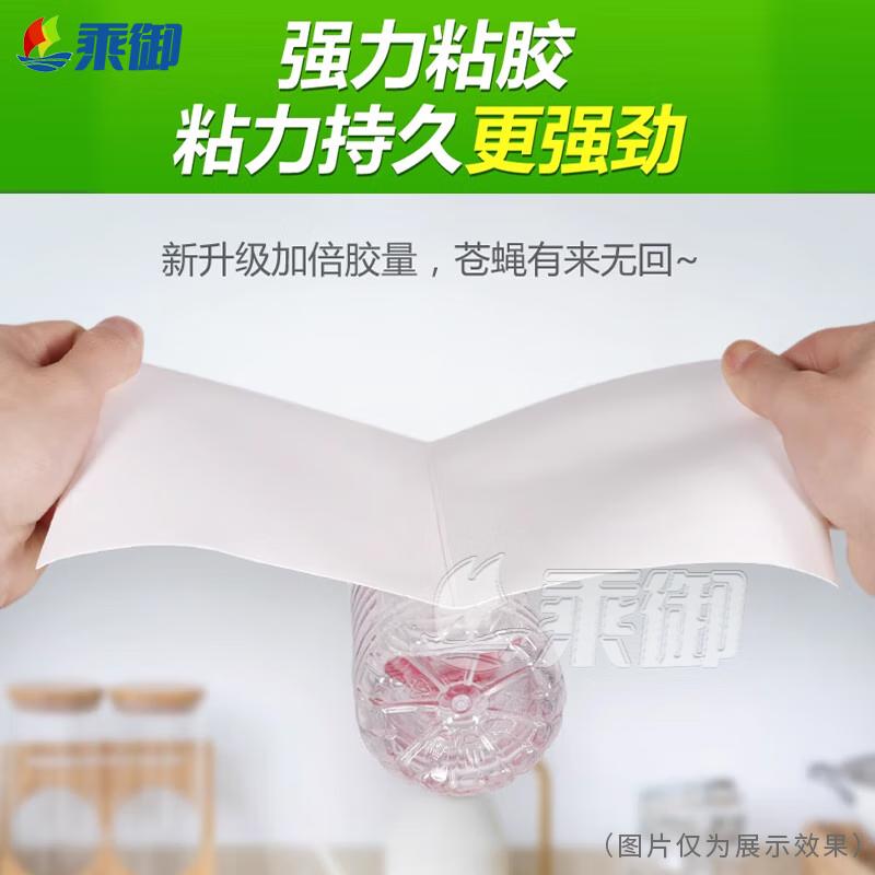 Strong Sticky Fly Traps