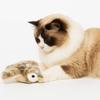 USB Flapping Bird Cat Toy Electronic Simulated Bird Cat Toy Interactive Cat Toys  Pet Playtime
