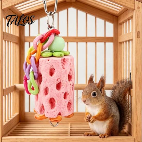 Cage Bird Toy Beak Grinding Stone, Parrot Chew with Colorful Chain, Hanging Chewing Accessories for Budgies Cockatiels Lovebirds Conures Anxiety