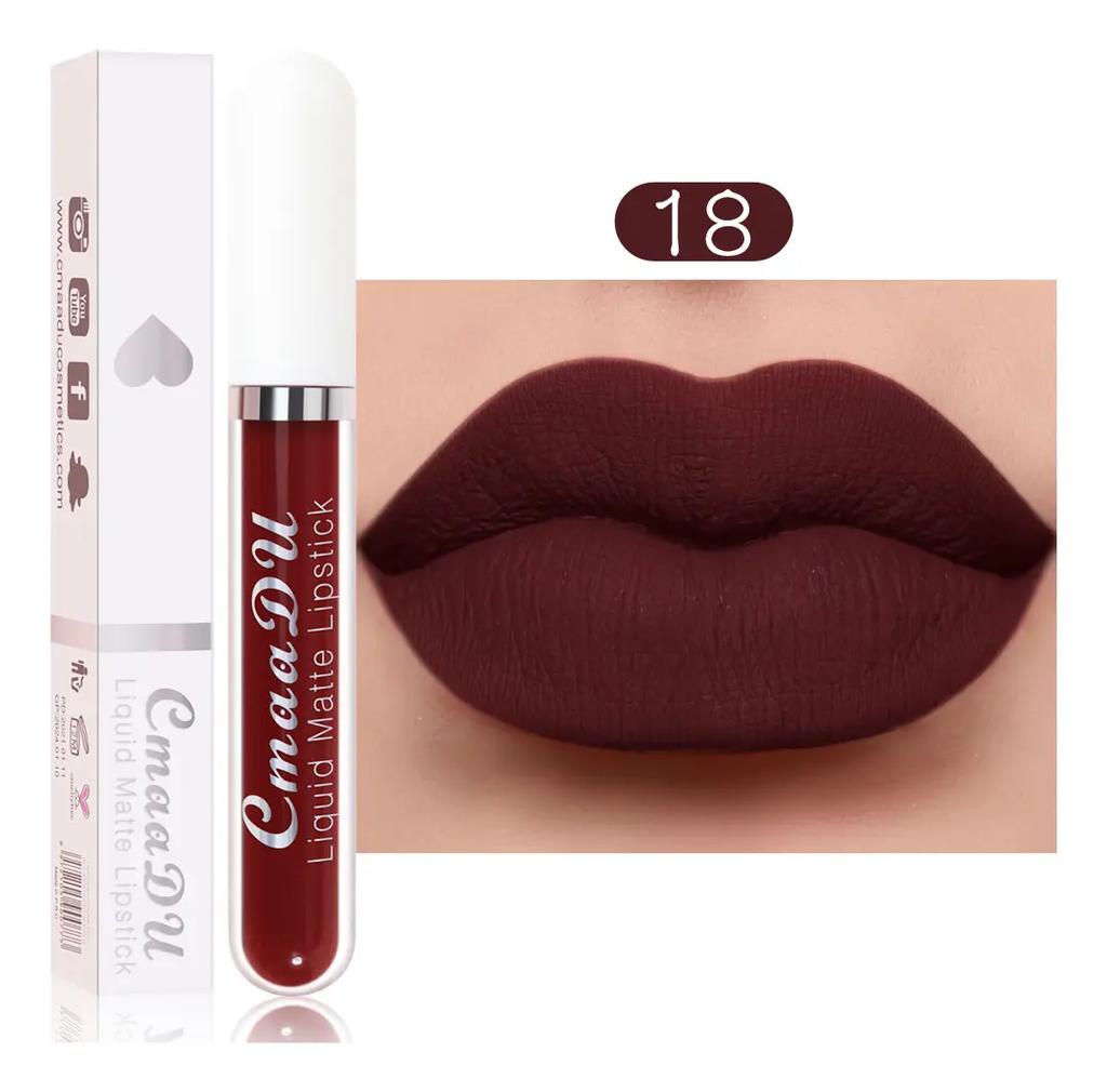 Cmaadu 4pcs Long Lasting Matte Waterproof Lip Gloss