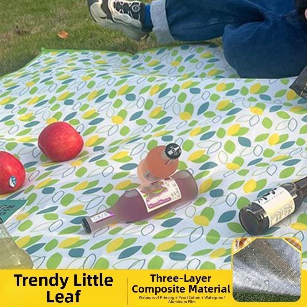 Moisture-proof Picnic Mat Beach Mat Foldable Pearl Cotton Aluminum Film Mat