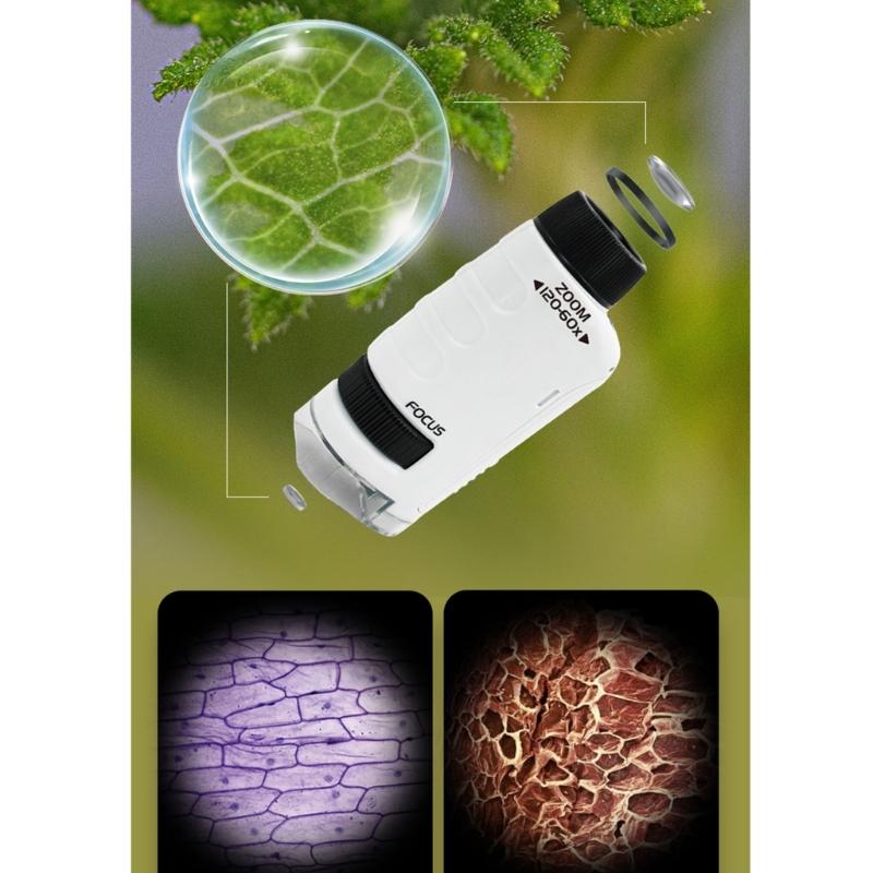 Mini Microscope Toy with LED Light 200X 600X 1200X Magnification Suitable for Kids Student Adults Science Exploration