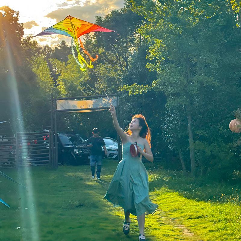 2026 High-End Rainbow Kite for Adults: Easy Flying, Vibrant Colors, Perfect for Light Breeze and Photography