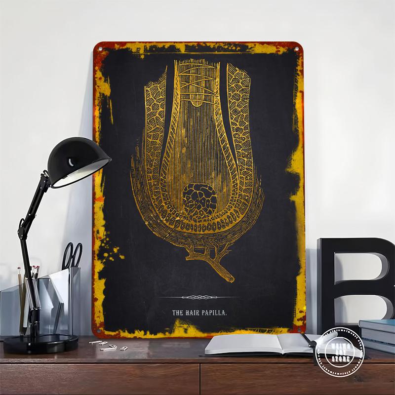 Hårpapille Anatomi Blikplade Plakat Tilpasset Vægkunst Retro Vintage Metal Skilte til Mandehule Dekoration Soveværelse Dekorationer