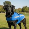 Fashion Waterproof Winter Dog Coat Reflective Comfort Dog Warm Clothing Fleece Lining Windproof Dog Stormcoat Jacket Winter