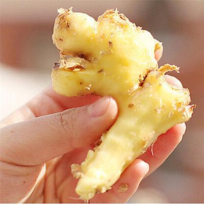 2Pcs Practical Stainless Steel Kitchen Gadget Garlic Ginger Cutter Peeler Tools