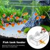 Acrylic Fish Food Feeder Aquarium Feeding Ring Fish Tank Station Floating Food Tray Accessories with Strong Suction Cups
