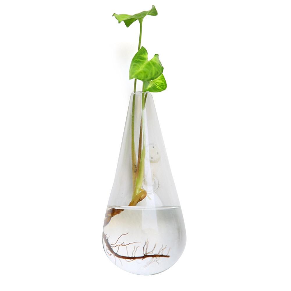 Hydroponics Plants Wall Hanging Vase Transparent Plant Propagation Vase  for Home Office Decor