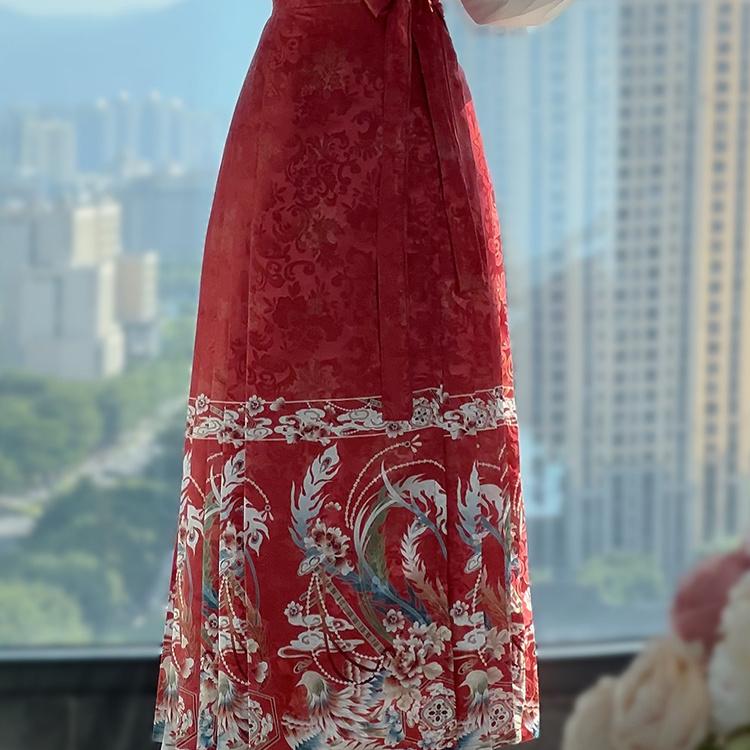 Chinese Ming Dynasty Style Hanfu Women's Stand Collar Daily Print horse-face  Skirt