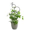 Indoor Plant Trellis Round Shape Garden Trellis for Climbing Plant Wire Stake