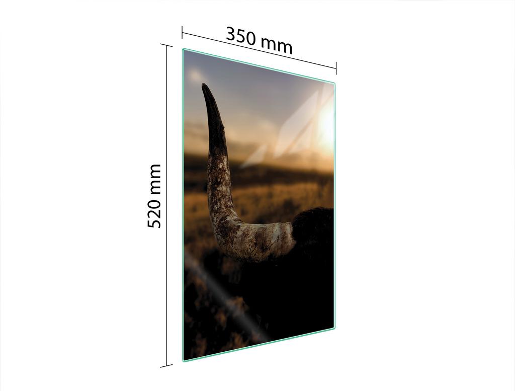 GLAS-SCHNEIDEBRETT 35x52 SONNE