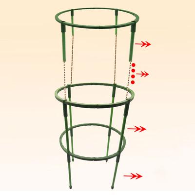 4 st Trädgårdsväxtstödbur Plie Blomstativ Hållare Trädgårds Bonsaiverktyg