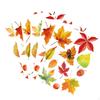 6 Autumn Maple Leaves Stickers, Colorful Double-Sided PVC Decorative Stickers for Home And Office.