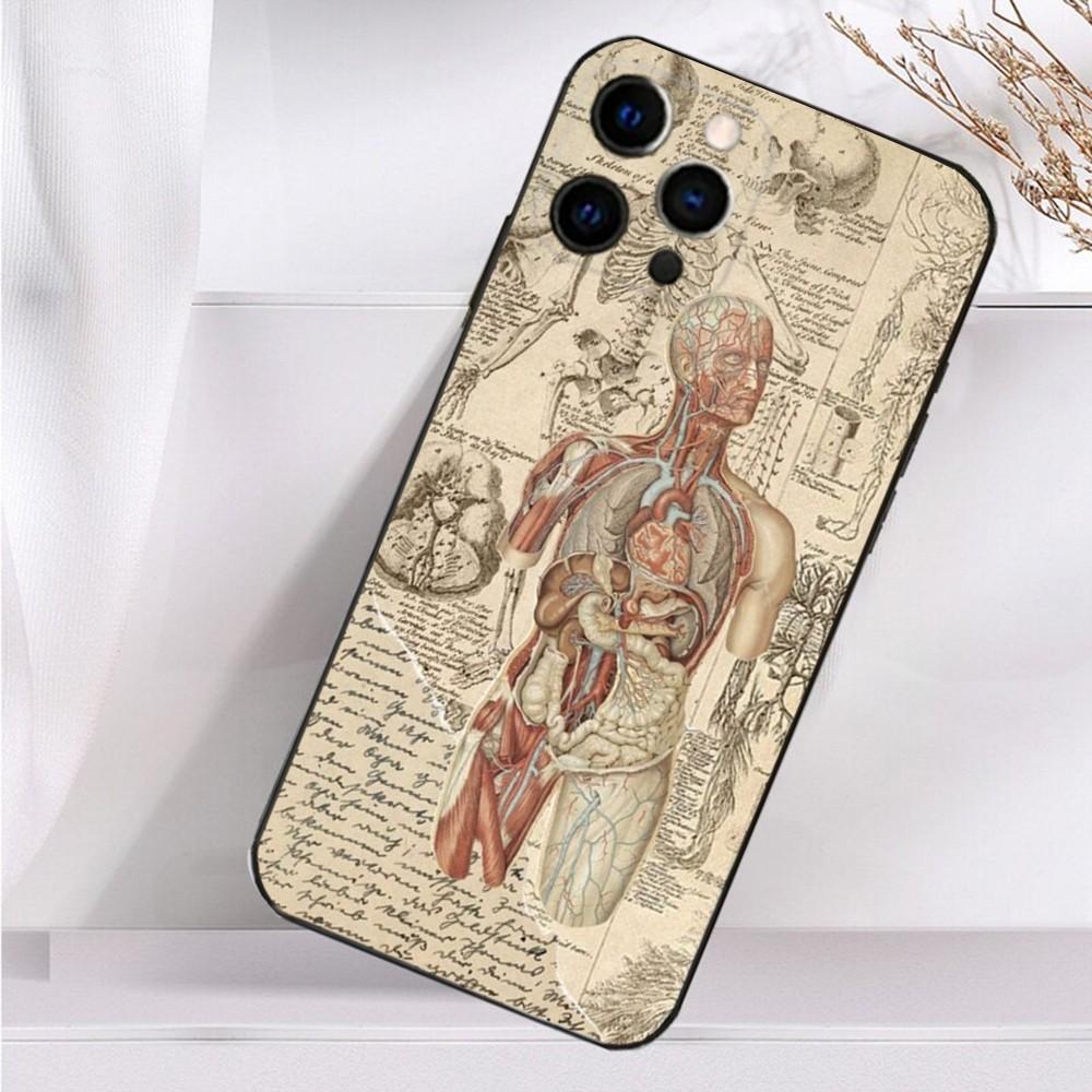 Medical Human Anatomy Phone Case For iPhone 16,15,14,13,12,11 Plus,Pro Max,XS,X,XR,SE,Mini,8,7 Soft Silicone Black Cover