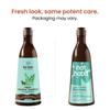 Nat Habit Rosmarin Haarschampoo Mit Dreiblatt-Formel Hibiskus Curry Neem Soja Ferment Protein Sulfatfrei Natürliche Pflege 250ML