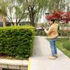 Greenworks 40V Cordless High Reach Pruner - Electric Branch Pruner for Fruit Trees, Includes Lithium Battery