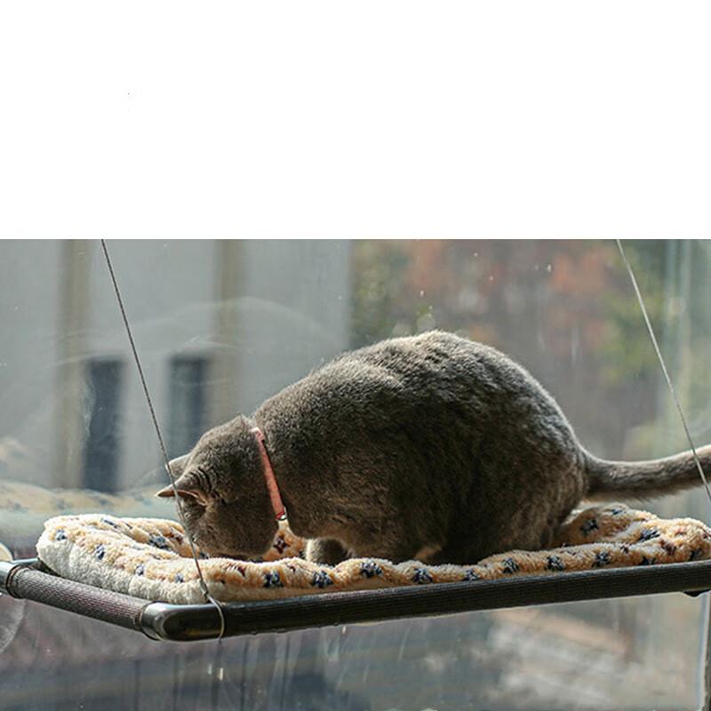 Window-Mounted Cat Hammock