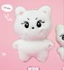 [USED] ENHYPEN Jungwon 10cm Doll (Yancomi)