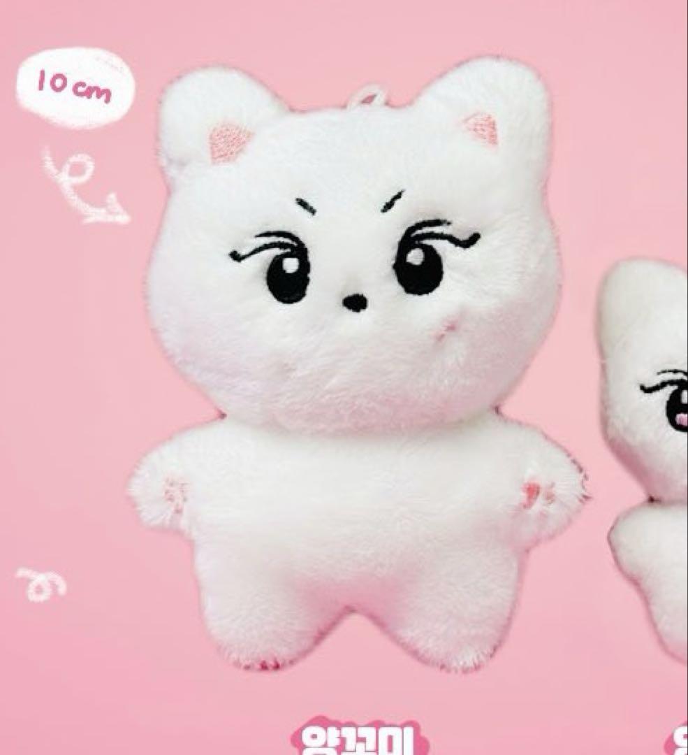 

[Б/У] Кукла ENHYPEN Чонвон 10 см (Янкоми)