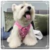 Pet Dog Cat Vest Lightweight Cotton Maltese Schnauzer Yorkshire Terrier Teddy Bichon Shiba