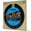D'Addario Daddario Classical Guitar Strings Pro Arte Composite Hard EJ46C [Domestic Genuine]