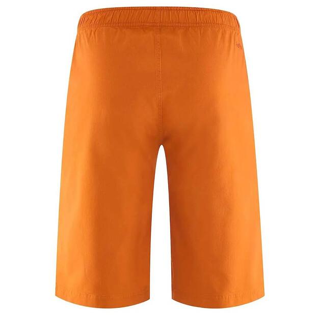 Red Chili Шорты Dojo III