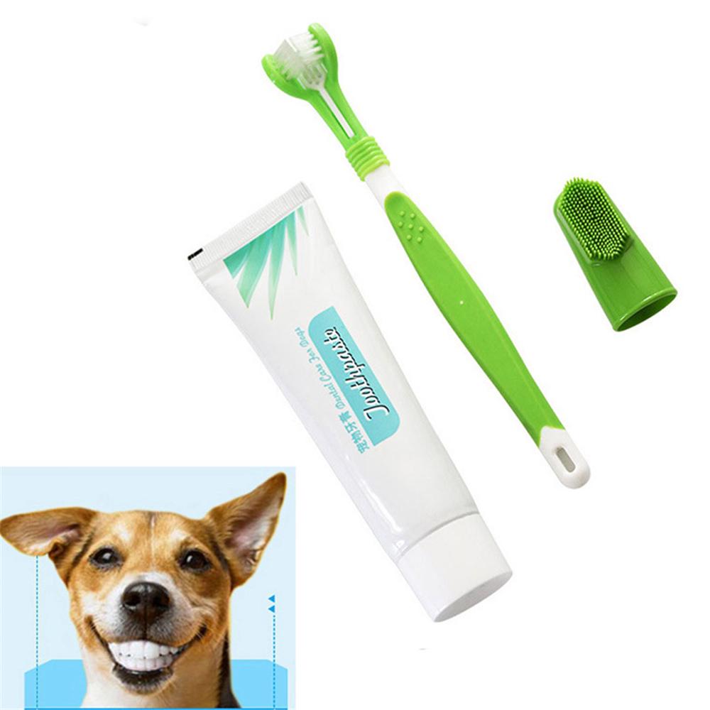 dog dental toothpaste