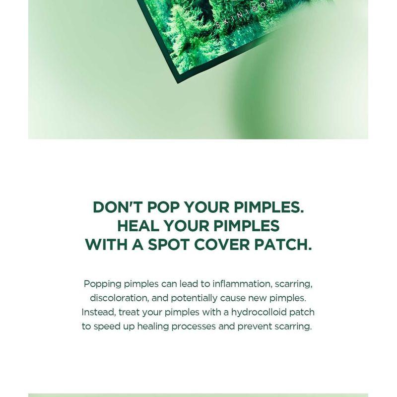 SKIN 1004 - Spot Cover Patch