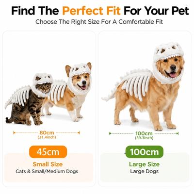 Dinosaurier-Skelett Haustierkostüm mit leuchtendem Design im Dunkeln, Kapuzen-Outfit für Katzen, Weiches Plüsch-Halloween-Kostüm für kleinen Hund, Fotografie