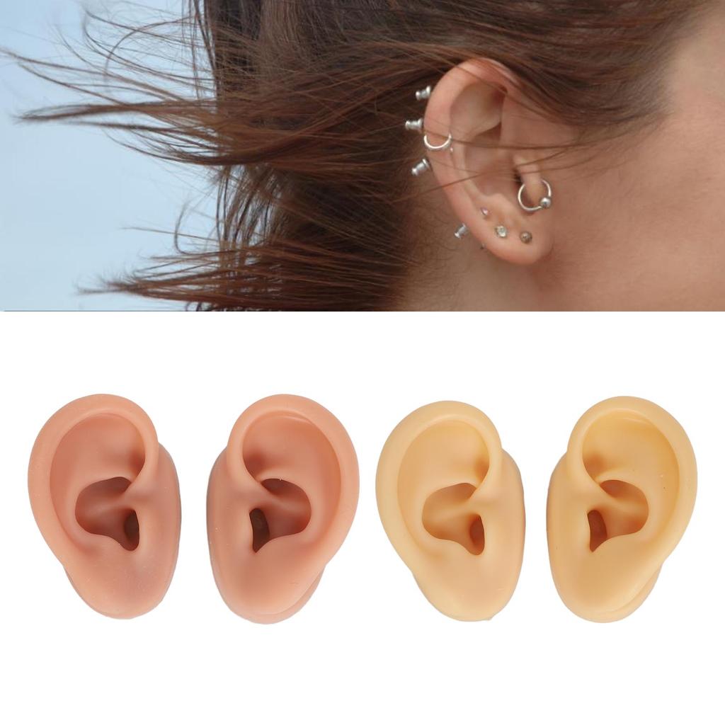 2 Pair 3D Silicone Ear Model Soft Flexible Left Right Ear Simulated Fake Model Practice Tool for Teaching Jewelry Display