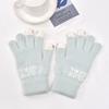 New Autumn and Winter Knitted Plush Gloves Warm and Thickened Finger Gloves