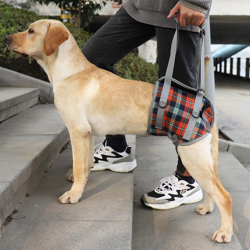 Pet Postoperative & Senior Dog Leg Support Brace