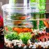 Clear View Negative Pressure Fish Tank Space Saving Plastic Floating Desktop Fish Tank Shatterproof Small Goldfish Tank