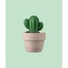 Donggubat [Spezial-Set] All-in-One Parfümöl-Riegel + Kaktus-Riegel Objekt Geschenkset