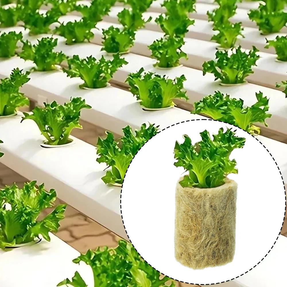 50pcs/set Hydroponic Grow Media Seedling Grow Plug Cubes Plant Cubes Soilless Substrate Seeded Rock Wool Plug Seedling Block
