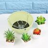 1 PC Fashion Succulent Plant  Balcony Bracketplant Flower Pots Hanging Basket Rattan Pattern Chains Flowerpot