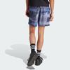 Adidas City Escape Gradient Spliced Full Print Waterproof Sports Shorts Men Shorts Blue IS3338