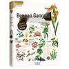 Essential Traditional Chinese Medicine Library