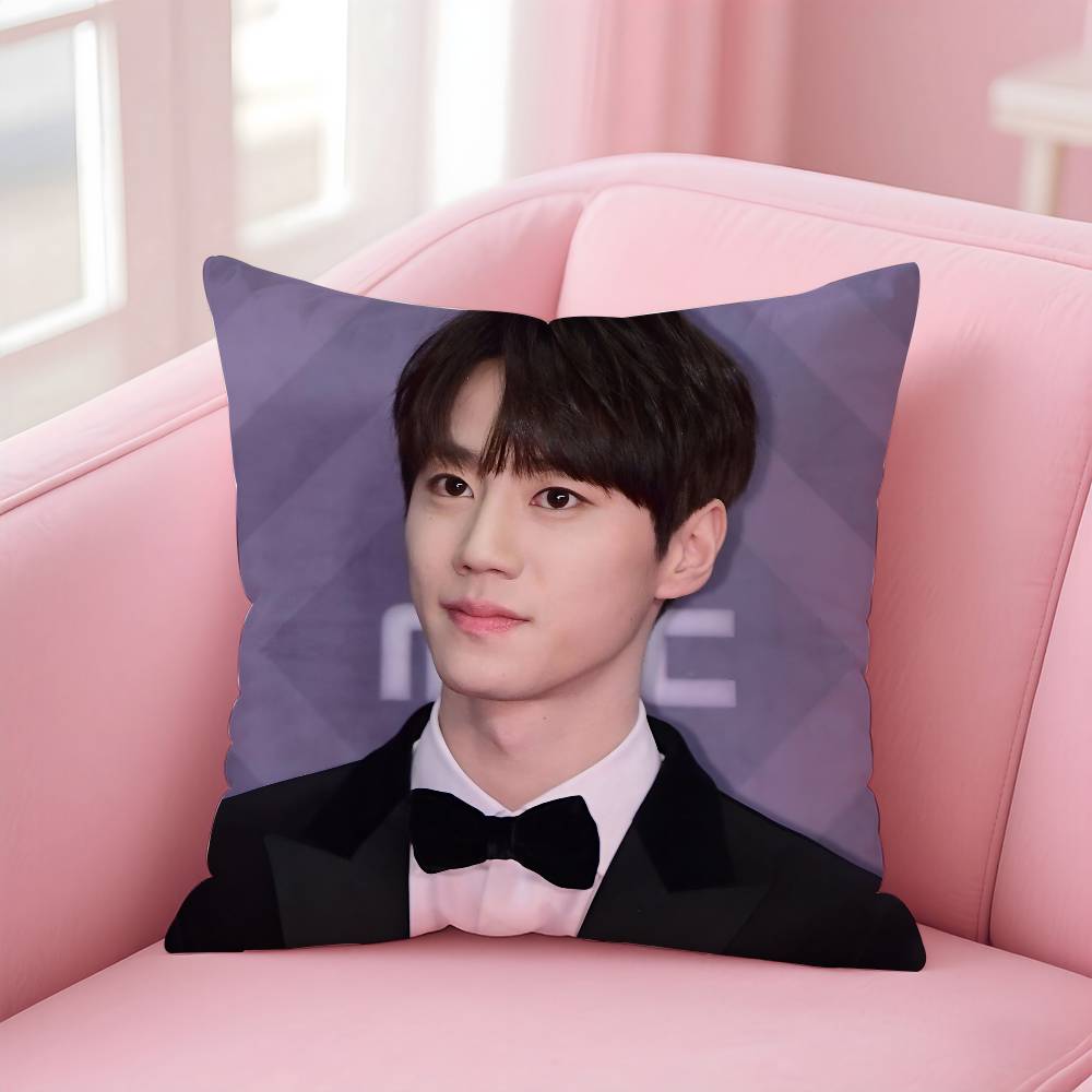 Kpop Style Hot Singer Lee J-Jun Young Pillow Case Anti-Dustmite Pillowcase Invisible Zipper Silky Short Plush Sofa Cushion Cover