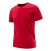 2022 Ice Silk Quick-Dry Plus Size Men's Loose Casual Crew Neck Short Sleeve T-Shirt