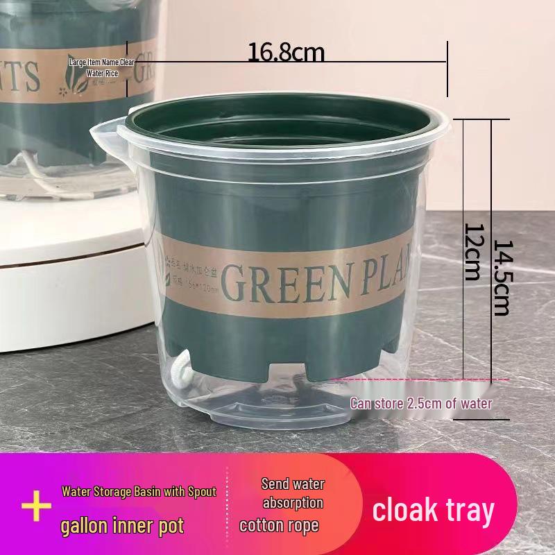 Pothos Transparent Self-Watering Anti-Root Rot Hydroponic Pot