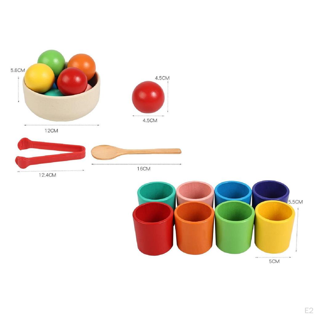 Bälle in Bechern Mehrfarbig Frühpädagogisch Vorschule Lernen Robust Farbklassifizierung für